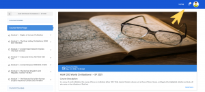 Screenshot of a TEL course with the notification bell highlighted