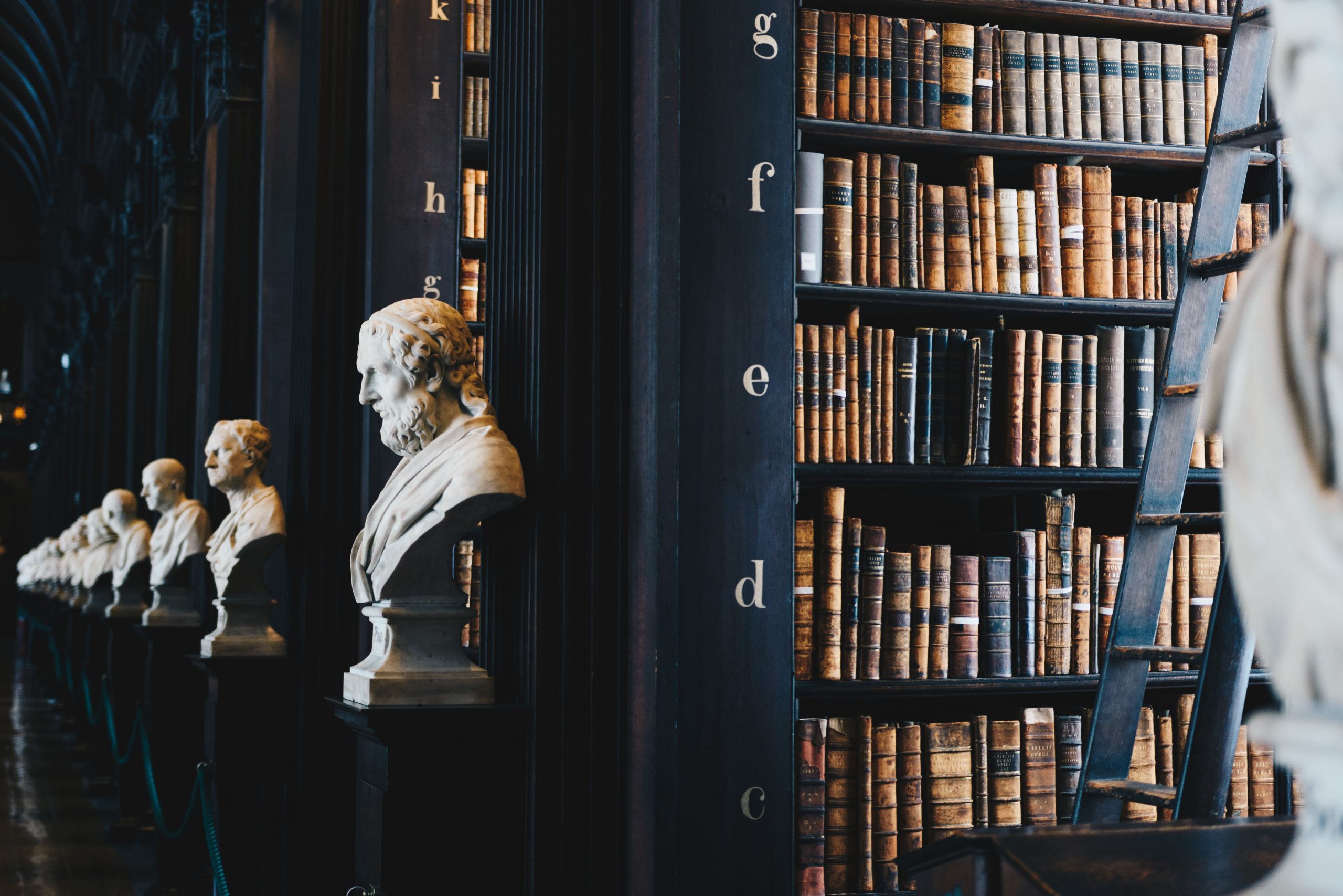 View of a library shelf with old books and bust sculptures of historical figures