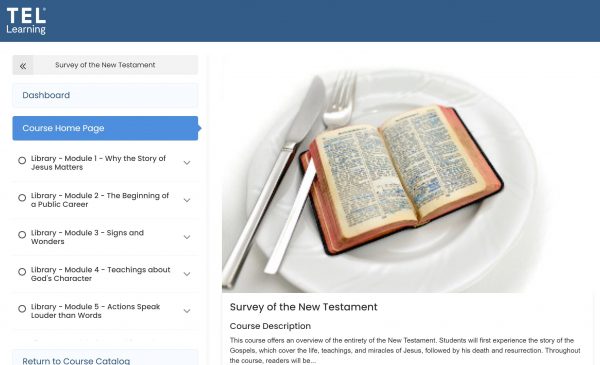 Survey of the New Testament - Image 3