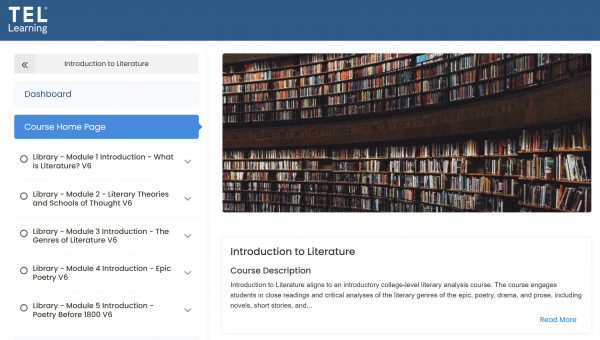 Introduction to Literature - Image 3