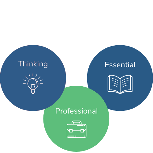 The three parts of the TEL Mastery Standards: thinking, essential, and professional